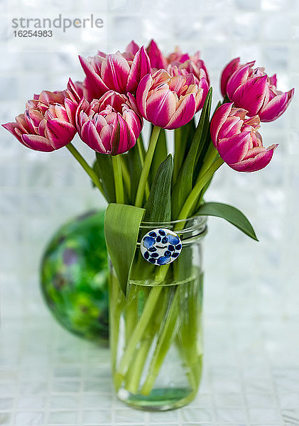 Rosa Tulpen in einer Glasvase mit blau-weißem Keramikknopf am Rand  der auf einer Arbeitsplatte mit einer grünen Glaskugel dahinter steht; Surrey  British Columbia  Kanada