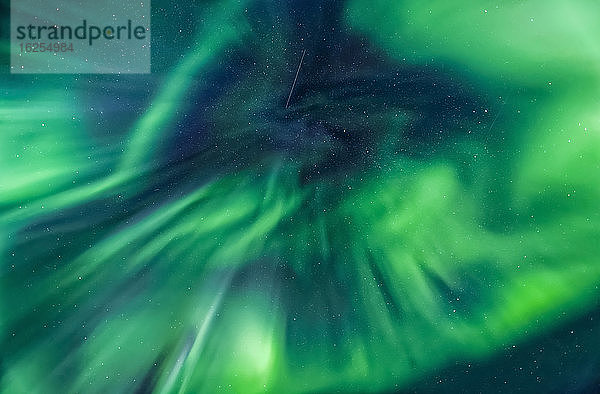 Corona Aurora breitet sich am Himmel aus  Taylor Highway  Inneres Alaska im Herbst; Alaska  Vereinigte Staaten von Amerika