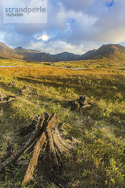 Nahaufnahme eines Rasenstapels mit Bergen im Hintergrund; Connemara  Grafschaft Galway  Irland