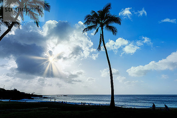 Silhouetten von Palmen und Menschen im Waimea Bay Beach Park bei Sonnenuntergang; Oahu  Hawaii  Vereinigte Staaten von Amerika