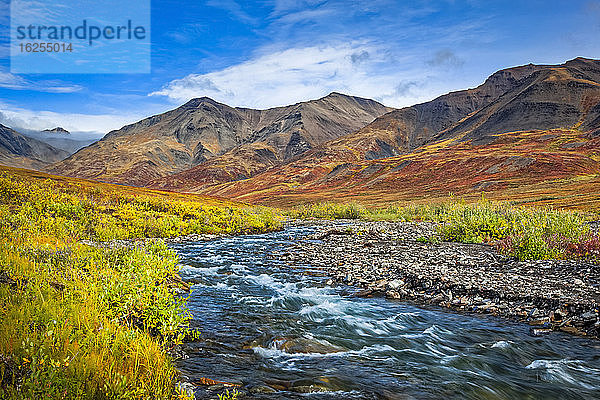 Der Kuyuktuvuk Creek und die Brooks Mountains in Herbstfarben unter blauem Himmel. Tore des Arktischen Nationalparks und Naturschutzgebietes  Arktisches Alaska im Herbst; Alaska  Vereinigte Staaten von Amerika