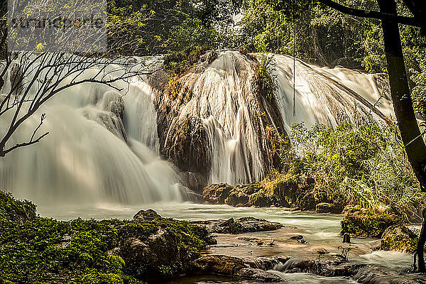 Agua-Azul-Wasserfälle  Chiapas  Mexiko