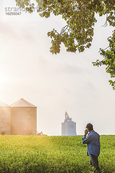 Landwirt steht mit einem Smartphone auf einem Rapsfeld und inspiziert den Ertrag; Alberta  Kanada