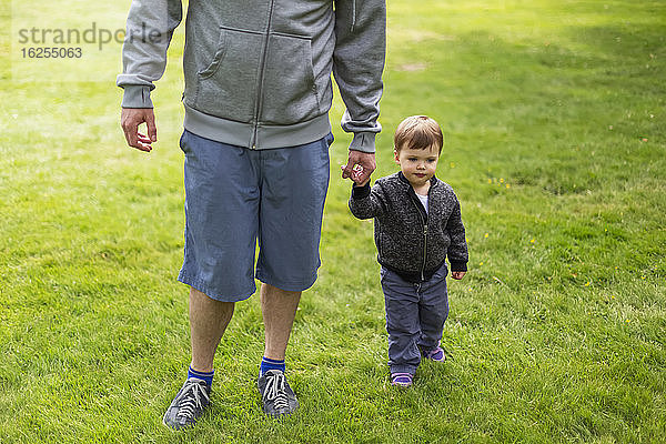 Ein Vater geht mit seiner kleinen Tochter im Gras und hält Händchen; North Vancouver  Britisch-Kolumbien  Kanada