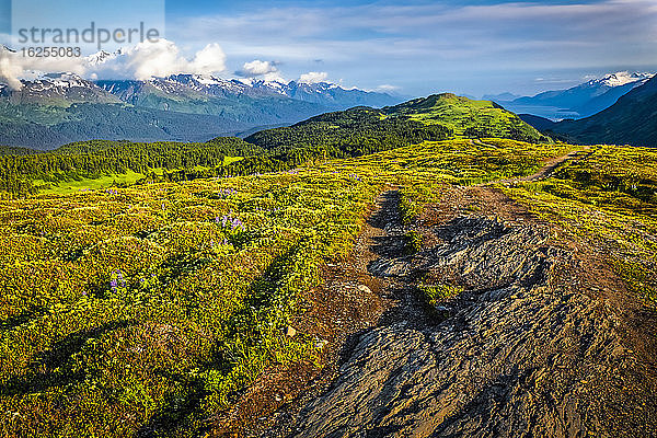 Landschaft mit tundrabedeckten Felsblöcken entlang des Lost Lake mit den schneebedeckten Chugach-Bergen im Hintergrund. Chugach National Forest  Kenai-Halbinsel  Süd-Zentral-Alaska im Sommer; Seward  Alaska  Vereinigte Staaten von Amerika