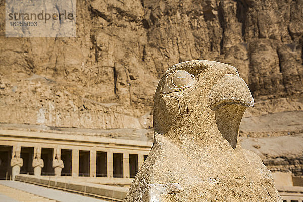 Falkenskulptur  Leichentempel der Hatschepsut (Deir el-Bahri)  UNESCO-Weltkulturerbe; Luxor  Ägypten