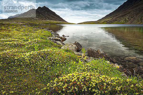 Rabbit Lake umgeben von Tundra-Blumen  im Hintergrund der McHugh Peak. Chugach State Park  Süd-Zentral-Alaska im Sommer; Anchorage  Alaska  Vereinigte Staaten von Amerika