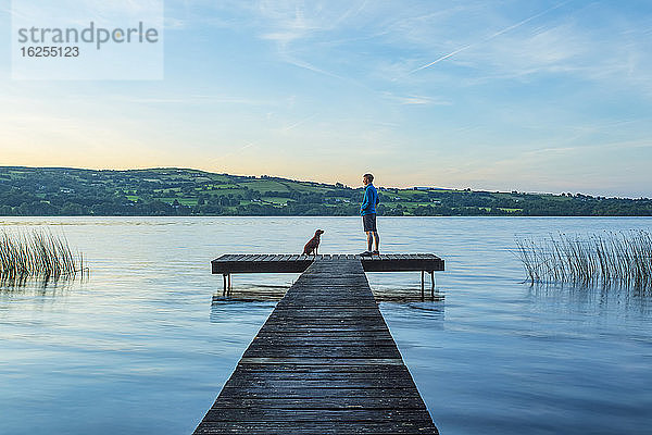 Einsamer Mann in blauer Jacke und Shorts mit einem Hund am Ende eines Holzstegs an einem See  der im Sommer den Sonnenaufgang beobachtet; Killaloe  Grafschaft Clare  Irland