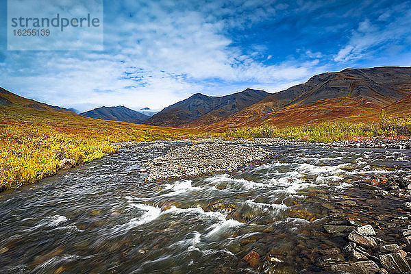 Der Kuyuktuvuk Creek und die Brooks Mountains in Herbstfarben unter blauem Himmel. Tore des Arktischen Nationalparks und Naturschutzgebietes  Arktisches Alaska im Herbst; Alaska  Vereinigte Staaten von Amerika