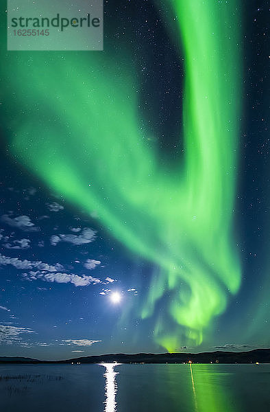 Leuchtend grünes Polarlicht mit flammendem Mond über dem Harding-See  Inneres Alaska im Herbst; Fairbanks  Alaska  Vereinigte Staaten von Amerika