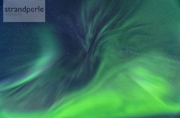 Leuchtend grüne Aurora-Korona über dem Himmel  Birch Lake  Inneres Alaska; Fairbanks  Alaska  Vereinigte Staaten von Amerika