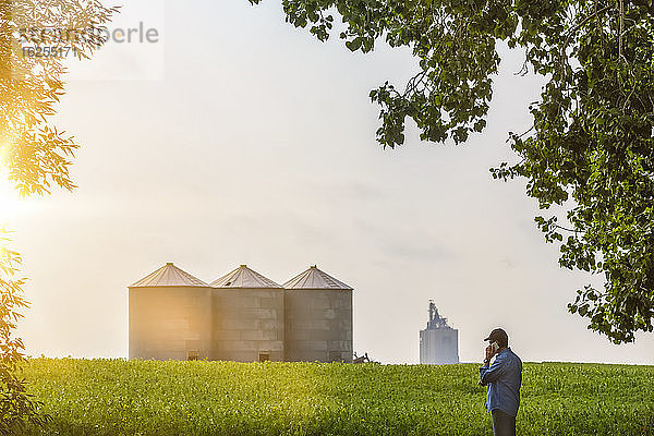 Landwirt steht mit einem Smartphone auf einem Rapsfeld und inspiziert den Ertrag; Alberta  Kanada