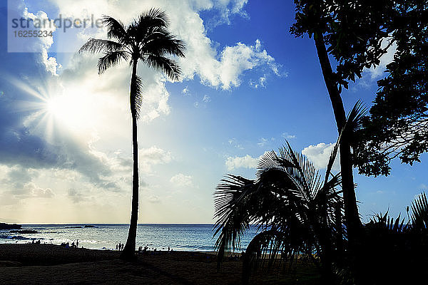 Silhouetten von Palmen und Menschen im Waimea Bay Beach Park bei Sonnenuntergang; Oahu  Hawaii  Vereinigte Staaten von Amerika