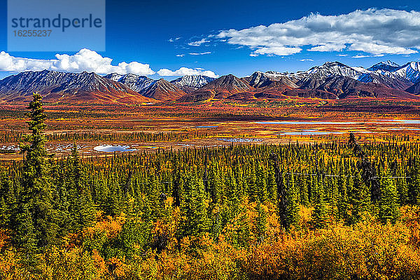 Schnee verstaubte Chugach-Berge in lebhaften Herbstfarben  Süd-Zentral-Alaska im Herbst; Alaska  Vereinigte Staaten von Amerika