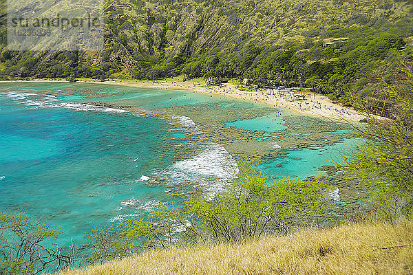 Das leuchtend türkisfarbene Wasser und das üppige Laub in der Hanauma Bay  ein beliebtes Schnorchelziel; Oahu  Hawaii  Vereinigte Staaten von Amerika