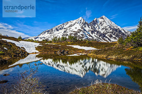 Mount Ascension reflektiert im Frühling auf einem kleinen Teich entlang des Primrose Trail  Chugach National Forest  Kenai-Halbinsel  Süd-Zentralalaska; Seward  Alaska  Vereinigte Staaten von Amerika