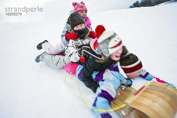 Vier Kinder fahren im Winter auf einem Holzschlitten einen verschneiten Hang hinunter; Alberta  Kanada