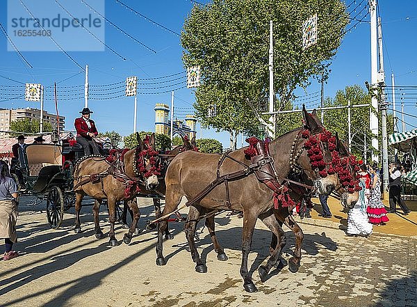 Geschmückte Pferdekutsche  Vierergespann  Feria de Abril  Sevilla  Andalusien  Spanien  Europa