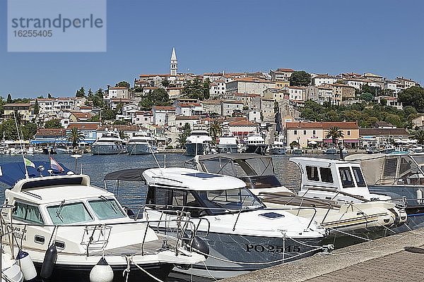Boote im Hafen  Vrsar  Istrien  Kroatien  Europa