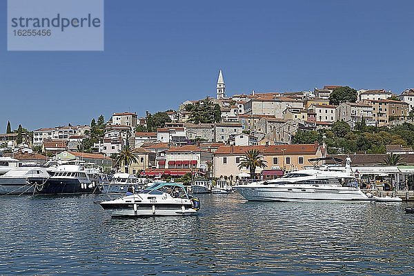 Hafen  Vrsar  Istrien  Kroatien  Europa