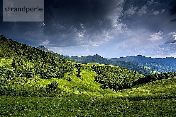 Blick auf die Berge Puy Griou und Monts du Cantal  Regionaler Naturpark der Vulkane der Auvergne  Departement Cantal  Auvergne-Rhône-Alpes  Frankreich  Europa