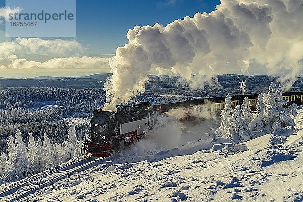 Brockenbahn fährt durch verschneite Landschaft auf den Brocken  Dampflok  Winter  Schnee  Harz  Berg  Schierke  Sachsen-Anhalt  Deutschland  Europa