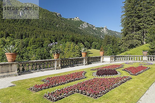 Schlosspark über der Treppenanlage  Schloss Linderhof  Ammergebirge  Oberbayern  Bayern  Deutschland  Europa
