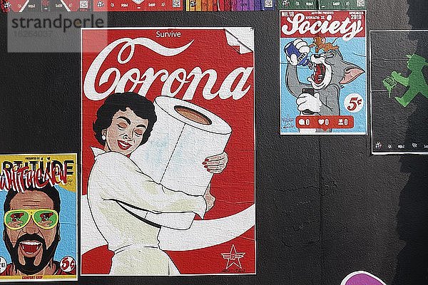 Corona  Frau umarmt Toilettenpapierrolle  satirisches Poster von Streetartkünstler R.F.Art  Düsseldorf  Nordrhein-Westfalen  Deutschland  Europa
