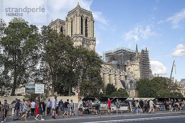 Eingerüstete Kathedrale Notre-Dame de Paris  Paris  Frankreich  Europa