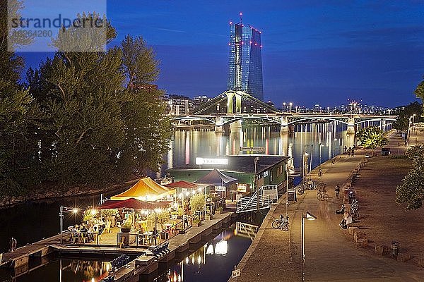 Stadtansicht am Abend mit Main und Blick auf die Europäische Zentralbank  Frankfurt am Main  Hessen  Deutschland  Europa
