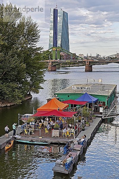 Stadtansicht mit Main und Blick auf die Europäische Zentralbank  Frankfurt am Main  Hessen  Deutschland  Europa