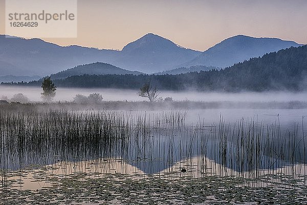 Sonnenaufgang mit Nebelschwaden über dem Turnersee  Karawanken  Kärnten  Österreich  Europa