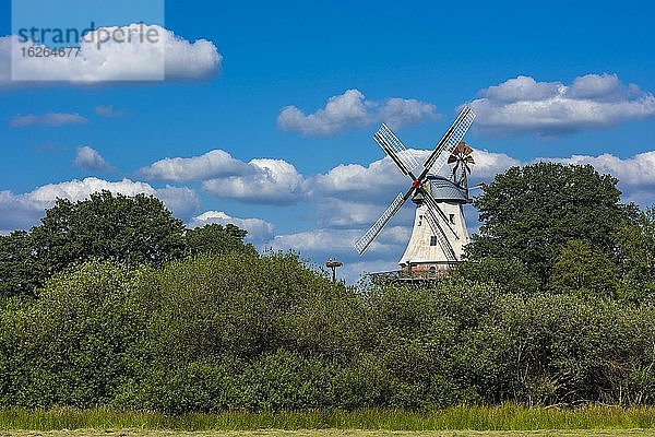 Ebkensche Windmühle in Barßel an der Soeste  Oldenburger Münsterland  Barßel  Niedersachsen  Deutschland  Europa