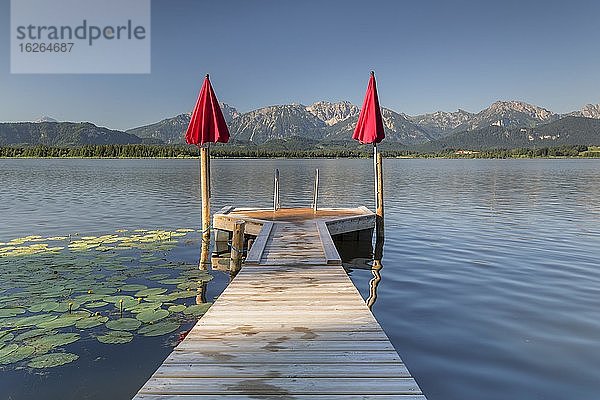 Hopfensee  Hopfen am See bei Füssen  Schwaben  Allgäu  Ostallgäu  Oberbayern  Deutschland  Europa