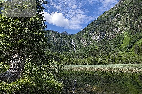 Steirischer Bodensee im Sommer  Schladminger Tauern  Steiermark  Österreich  Europa