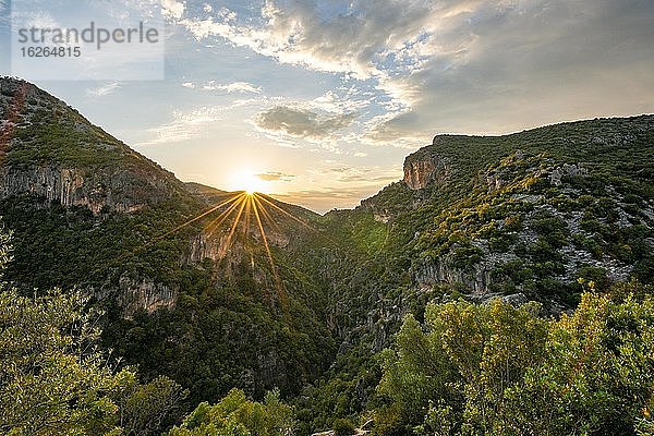 Bewaldete Berghänge  Grüne Schlucht  Garganta Verde  Sonnenuntergang  Sierra de Cádiz  Provinz Cádiz  Spanien  Europa