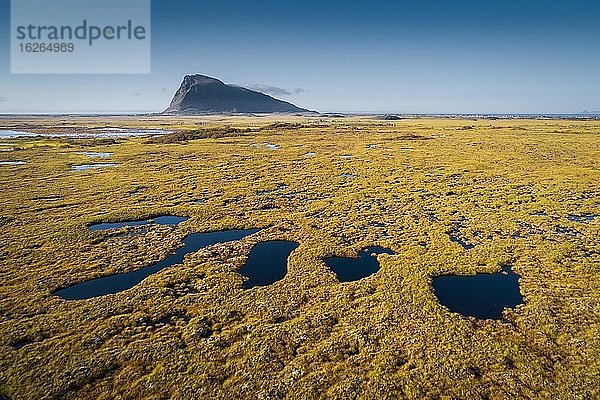 Von Wasserkanälen duchzogene Moorlandschaft  hinten Berggipfel des Hoven  Vågan  Lofoten  Nordland  Norwegen  Europa