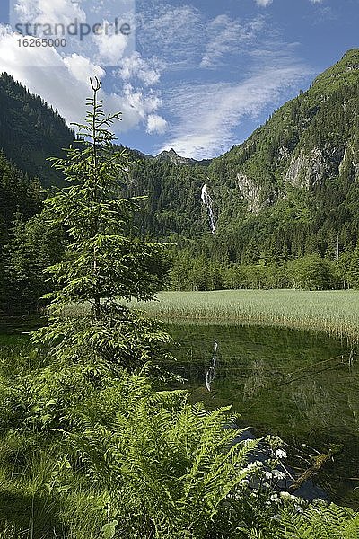 Steirischer Bodensee im Sommer  Schladminger Tauern  Steiermark  Österreich  Europa