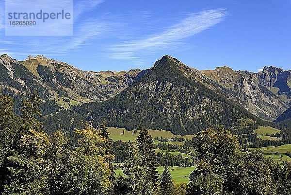 Ausblick auf die Berge bei Oberstdorf  Nebelhorn 2224m und Schattenberg 1721m  Allgäuer Alpen  Allgäu  Bayern  Deutschland  Europa