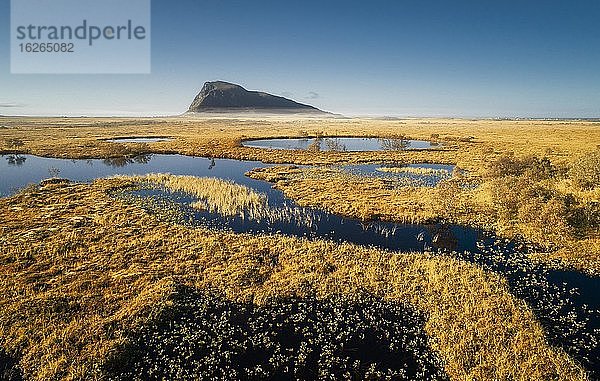 Von Wasserkanälen duchzogene Moorlandschaft  hinten Berggipfel des Hoven  Vågan  Lofoten  Nordland  Norwegen  Europa