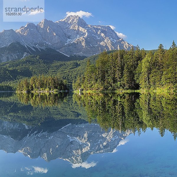Zugspitze spiegelt sich im Eibsee  bei Grainau  Werdenfelser Land  Bayern  Deutschland  Europa