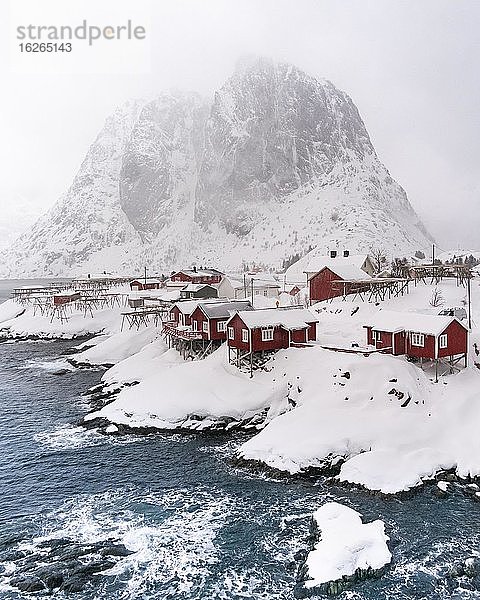 Rorbuer Fischerhütten am verschneiten Fjord bei Nebel  Hamnøya  Moskenesøy  Lofoten  Norwegen  Europa