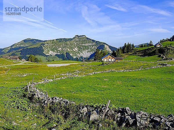 Almgelände  Osterhorngruppe  Salzburger Land  Österreich  Europa