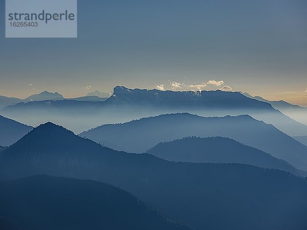 Blaue Bergsilhouetten  Alpenpanorama vom Schafberg mit dem Untersberg  Salzburger Land  Österreich  Europa