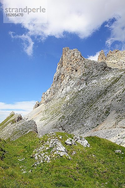 Bergregion am Latemar  Obereggen  Oberholz  Dolomiten  Südtirol  Italien  Europa