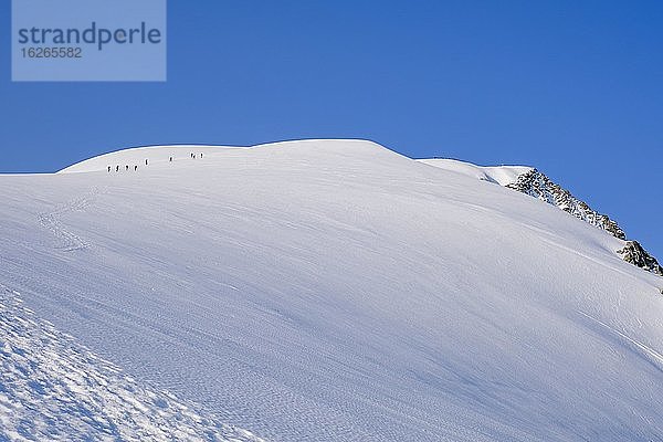 Bergsteiger am Gipfelhang des Großvenediger  Nationalpark Hohe Tauern  Salzburger Land  Österreich  Europa