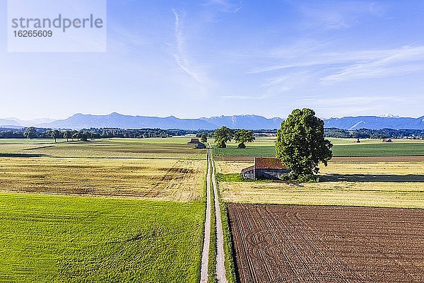 Feldweg durch Kulturlandschaft  bei Huglfing  Pfaffenwinkel  Alpenvorland  Drohnenaufnahme  Oberbayern  Bayern  Deutschland  Europa