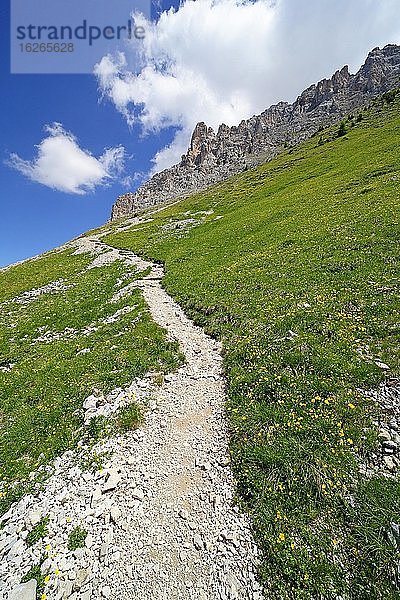 Wanderweg am Latemar  Obereggen  Oberholz  Dolomiten  Südtirol  Italien  Europa