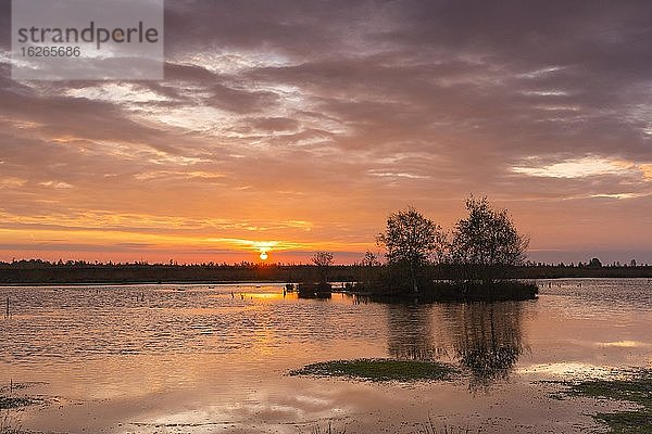 Sonnenuntergang im Moor mit herbstlicher Wolkenstimmung  Oldenburger Münsterland  Goldenstedter Moor  Goldenstedt  Niedersachsen  Deutschland  Europa