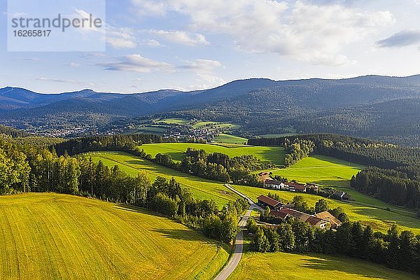 Weiler Silbersbach zwischen Lohberg und Lam  Lamer Winkel  links Großer und Kleiner Arber  Drohnenaufnahme  Bayerischer Wald  Oberpfalz  Bayern  Deutschland  Europa